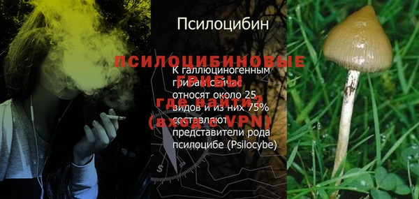 мет Нефтегорск
