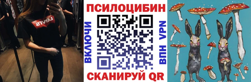 Псилоцибиновые грибы Psilocybine cubensis  Оленегорск 